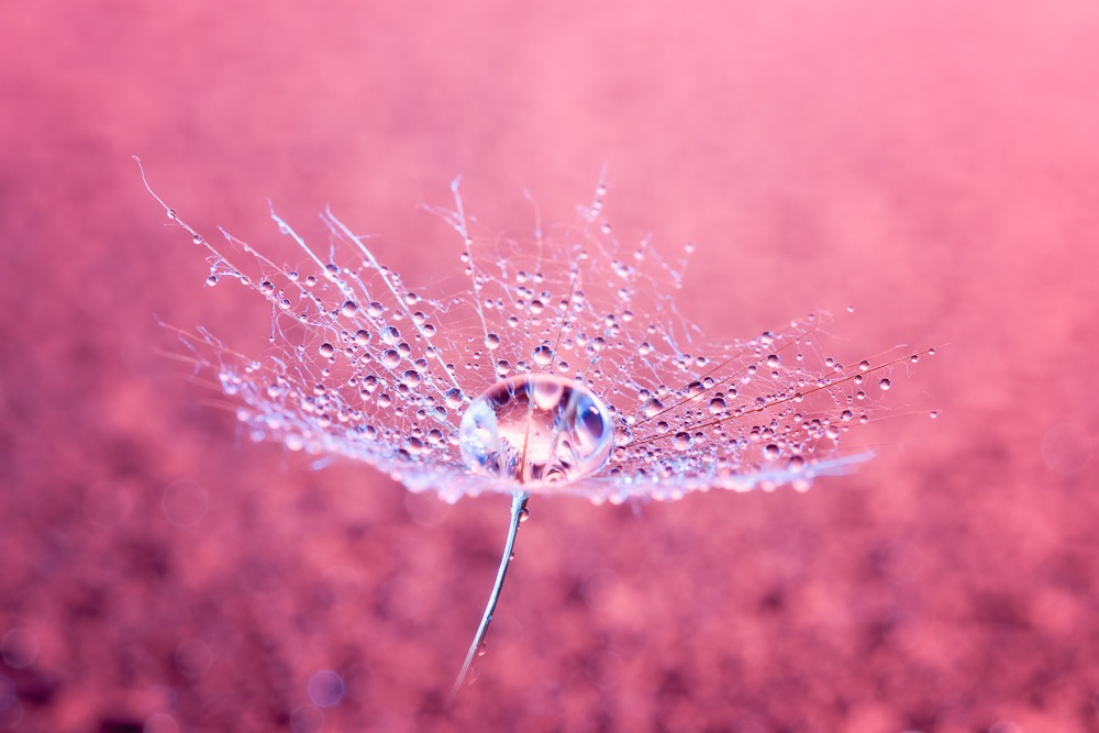 Awaken Healing Masterclass